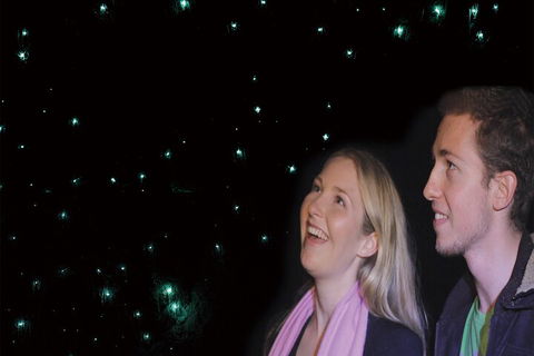 Natural Bridge Glow Worm Night Tour From Gold Coast - VIC Tourism 3