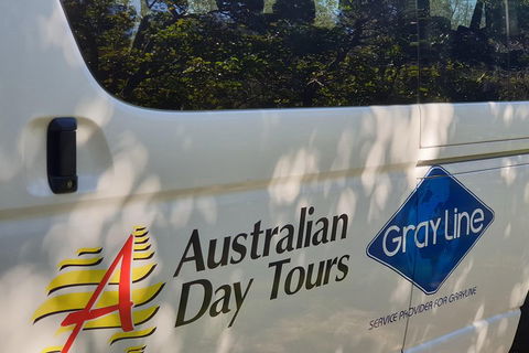 Natural Bridge Glow Worm Night Tour From Gold Coast - VIC Tourism 5