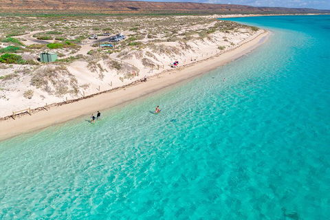 Ningaloo In A Day - Full Day Hike And Snorkel Tour With Lunch - VIC Tourism 0