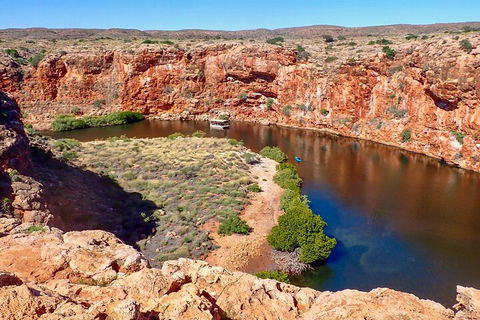 Ningaloo In A Day - Full Day Hike And Snorkel Tour With Lunch - VIC Tourism 2