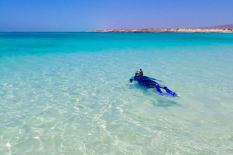 Ningaloo In A Day - Full Day Hike And Snorkel Tour With Lunch - VIC Tourism 4