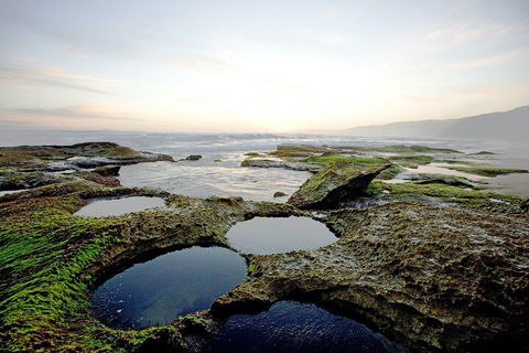 LGBT+ Friendly 3 Day Private Tour Great Ocean Road & Phillip Island - VIC Tourism 5