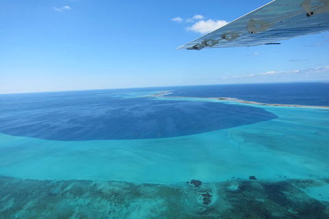 Shipwreck Special Full Day Tour Of The Abrolhos Islands - VIC Tourism 2