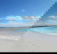 Shipwreck Special Nature Tour/Half Day Tour - VIC Tourism