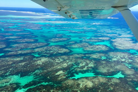 Kalbarri, Pink Lake And Abrolhos Islands Nature Tour - VIC Tourism 5