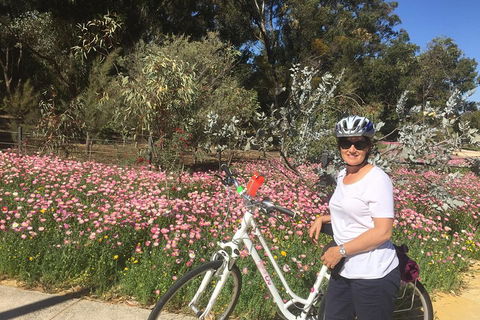 Perth Bike Tour - Beautiful Matilda Bay And Kings Park - VIC Tourism 1