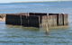 Best Of Moreton Bay Cruise - thumb 1