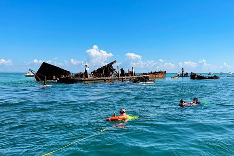 Best Of Moreton Bay Cruise - VIC Tourism 5