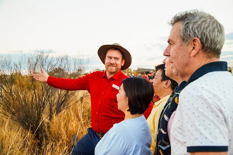 Uluru (Ayers Rock) Sunset With Outback Barbecue Dinner And Star Tour - VIC Tourism 3