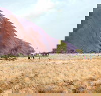 Uluru Sunrise and Guided Base Walk - VIC Tourism