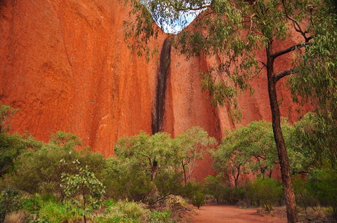 Uluru Sunrise And Guided Base Walk - VIC Tourism 3