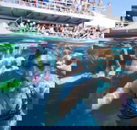 Great Barrier Reef Day Cruise from Cairns Including Snorkeling and Marine Biologist Presentation - VIC Tourism