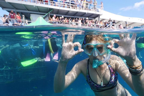Great Barrier Reef Day Cruise From Cairns Including Snorkeling And Marine Biologist Presentation - VIC Tourism 0
