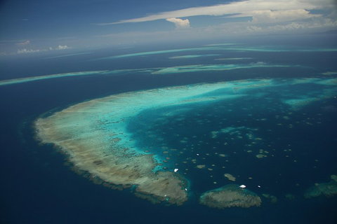 Great Barrier Reef Day Cruise From Cairns Including Snorkeling And Marine Biologist Presentation - VIC Tourism 1