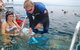 Great Barrier Reef Day Cruise From Cairns Including Snorkeling And Marine Biologist Presentation - thumb 2