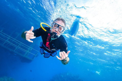 Great Barrier Reef Day Cruise From Cairns Including Snorkeling And Marine Biologist Presentation - VIC Tourism 3