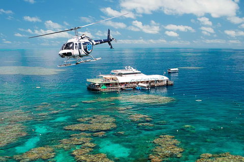 Great Barrier Reef Day Cruise From Cairns Including Snorkeling And Marine Biologist Presentation - VIC Tourism 5