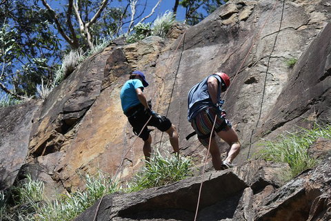Abseiling The Kangaroo Point Cliffs In Brisbane - VIC Tourism 4