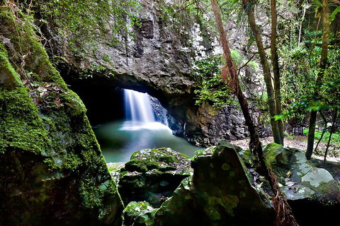 Natural Bridge & Springbrook Waterfalls Tour + Hot Air Balloon With Breakfast - VIC Tourism 4