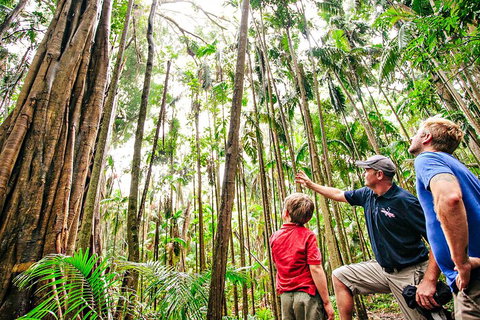 Natural Bridge & Springbrook Waterfalls Tour + Hot Air Balloon With Breakfast - VIC Tourism 5