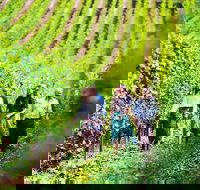 Tasmanian Wine Tour - VIC Tourism