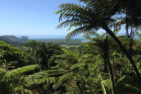 Daintree And Cape Tribulation Full Day Guided Tour - VIC Tourism 2