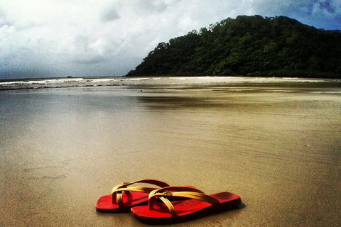 Daintree And Cape Tribulation Full Day Guided Tour - VIC Tourism 4
