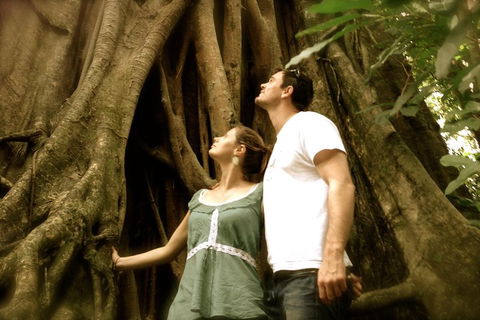 Daintree And Cape Tribulation Full Day Guided Tour - VIC Tourism 5