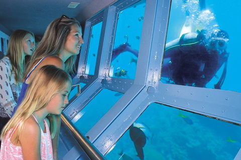 Quicksilver Outer Great Barrier Reef Snorkel Cruise From Palm Cove - VIC Tourism 0