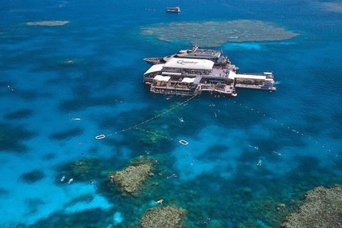Quicksilver Outer Great Barrier Reef Snorkel Cruise From Palm Cove - VIC Tourism 1