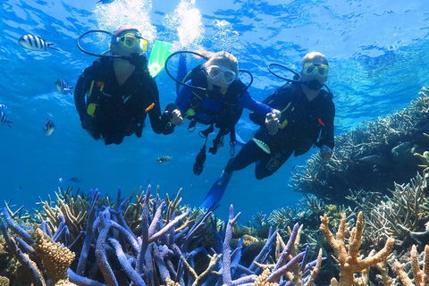 Quicksilver Outer Great Barrier Reef Snorkel Cruise From Palm Cove - VIC Tourism 3
