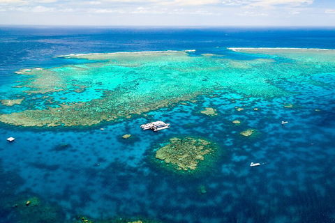 Quicksilver Outer Great Barrier Reef Snorkel Cruise From Palm Cove - VIC Tourism 4