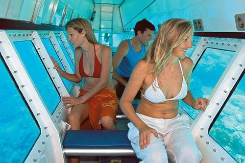 Quicksilver Outer Great Barrier Reef Snorkel Cruise From Palm Cove - VIC Tourism 5
