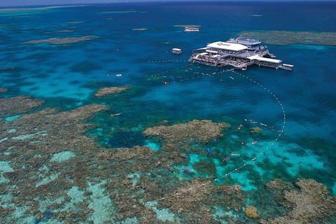 Ultimate 3-Day Great Barrier Reef Cruise Pass - VIC Tourism 3
