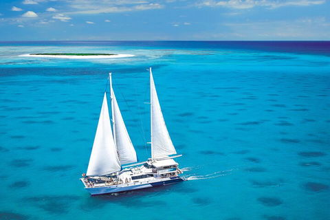 Ultimate 3-Day Great Barrier Reef Cruise Pass - VIC Tourism 5