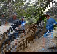 Fully guided E-Mountain Bike Tour on the beautiful Mornington Peninsula. - VIC Tourism