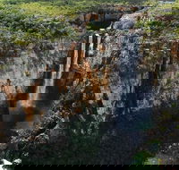 7 Days Darwin Kakadu National Park Katherine Gorge Touring Package - VIC Tourism