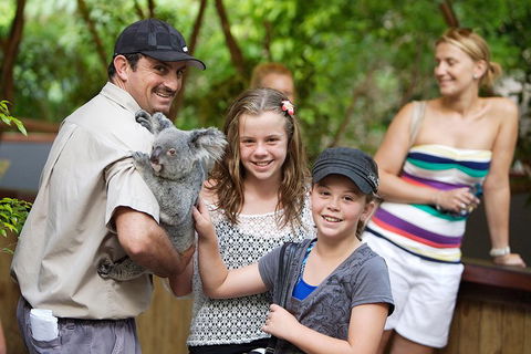 Hartley's Crocodile Adventure Half-Day Tour - VIC Tourism 3