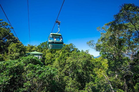 Skyrail Rainforest Cableway Day Trip From Cairns - VIC Tourism 1