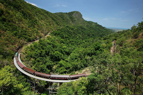 Skyrail Rainforest Cableway Day Trip From Cairns - VIC Tourism 5