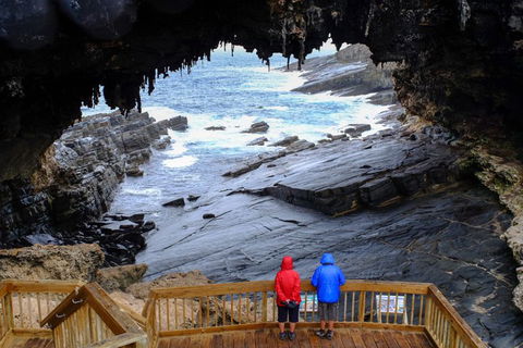 Full-Day Kangaroo Island Safari From Penneshaw - VIC Tourism 1