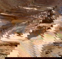 Hobart Minibus Full-Day Private Tour - VIC Tourism