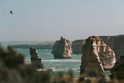 Half-Day Or Full-Day Tour With Private Guide From Melbourne - VIC Tourism 0
