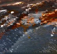 One Day Litchfield Park Adventures - VIC Tourism