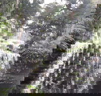 6-Day Hearty Tasmania Tour Tasmania in a Circle - VIC Tourism