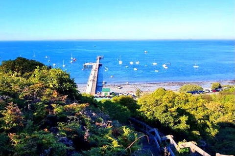 Mornington Peninsula Sightseeing Tour For 2-6 Guests. - VIC Tourism 1