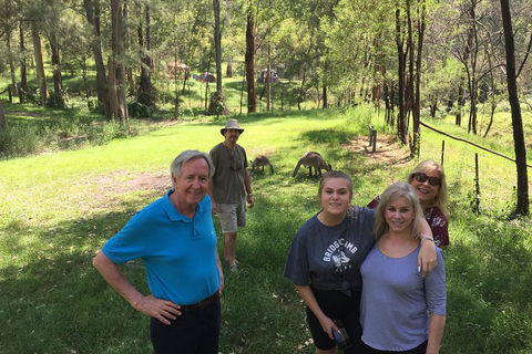 Small Group Blue Mountains Day Tour From Sydney - VIC Tourism 1