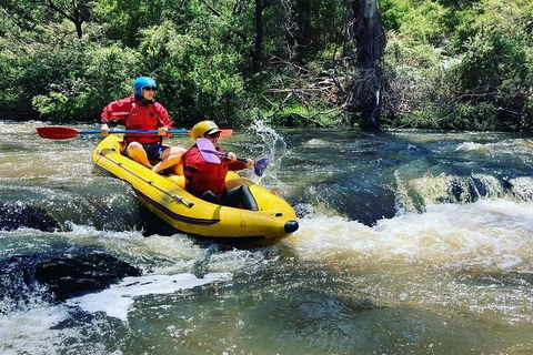 Yarra River Half-Day Rafting Experience - VIC Tourism 4