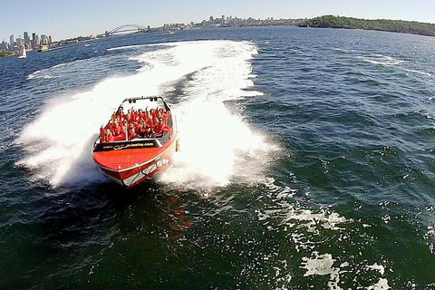 Sydney Harbour Jet Boat Thrill Ride: 30 Minutes - VIC Tourism 0