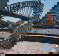 Sydney Private Tours by Locals 100 Personalized See the City Unscripted - VIC Tourism